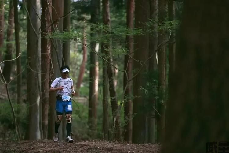 越野跑/越野马拉松