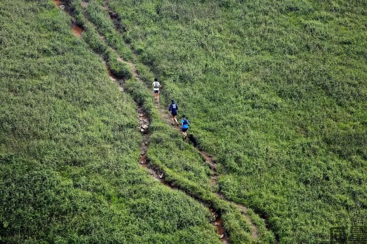 【国际越野赛】赶紧报名！报名截止6月26日~2023江西武功山国际越野跑赛等你加入！(图17)