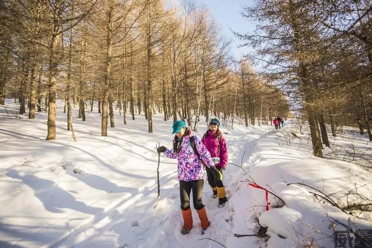 【越野跑】今日开始报名|2023第四届翠云山SnowRun冰雪越野挑战赛,12月31日雪地“撒野”迎新春(图30)