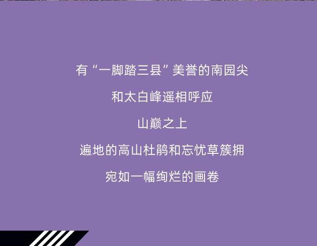 2023绍兴首届三峰越野挑战赛"西施100越野"12月2日开跑,报名截止11月1日(图11)